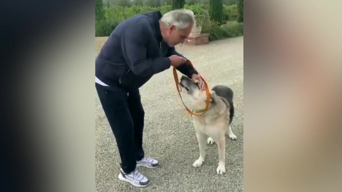 Raněný pes z osvobozeného města na Ukrajině je v péči Andrey Bocelliho